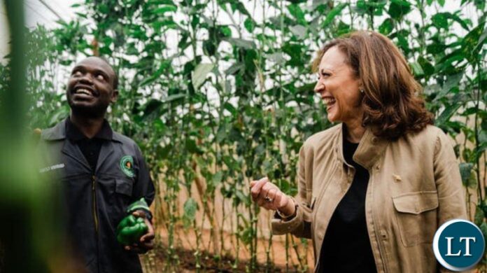 kamala harris