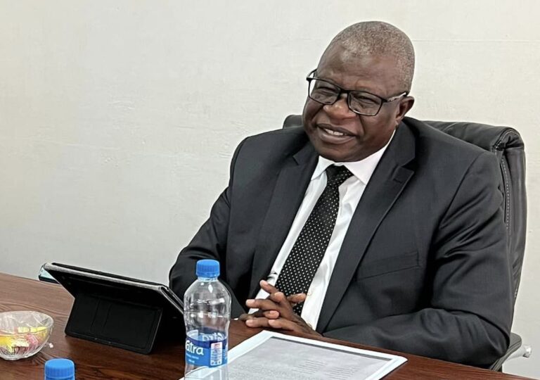 Zambia’s Mining Licenses backlog to be cleared by July 2023, says Permanent Secretary