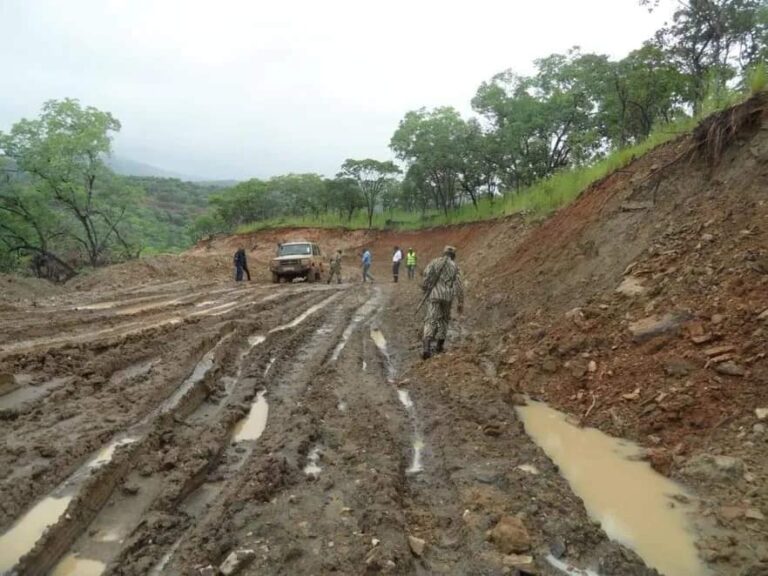 BirdLife welcomes cancellation of mining project in Zambia’s Lower Zambezi National Park