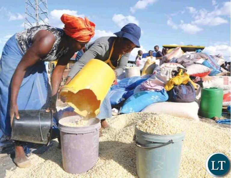 Zambia Economic Performance Analysis for 2023:What are the Prospects for 2024?