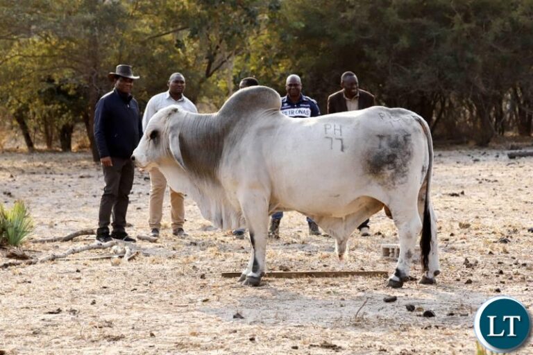 President Hakainde Hichilema Calls for Increased Farming to Attain Food Security