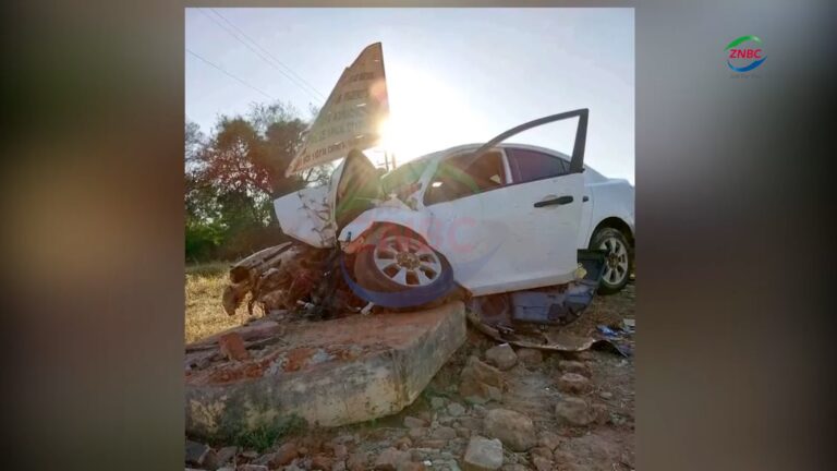 Suspected Thief Dies in High-Speed Getaway, Accomplice Injured