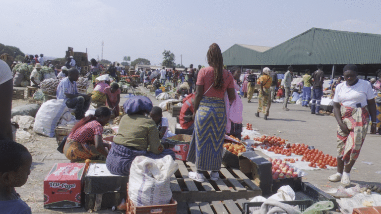 Kabwe vendors urged to take up space in authorized markets