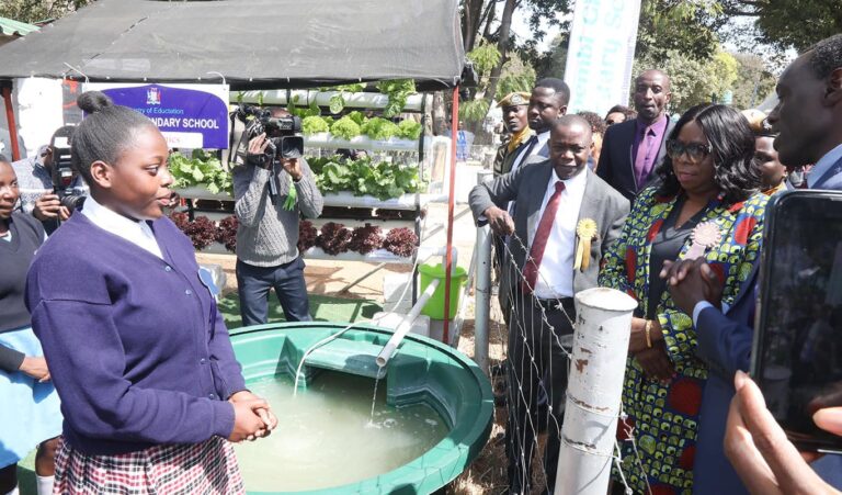 Veep says 2023 Agriculture show will spur economic transformation