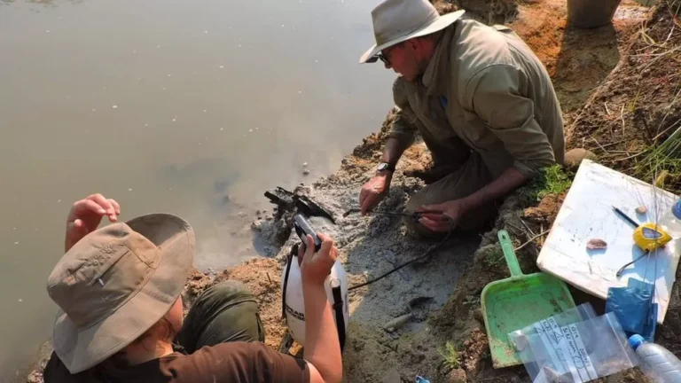 Half-million-year-old wooden logs in Zambia challenge Understanding of Early Human Life