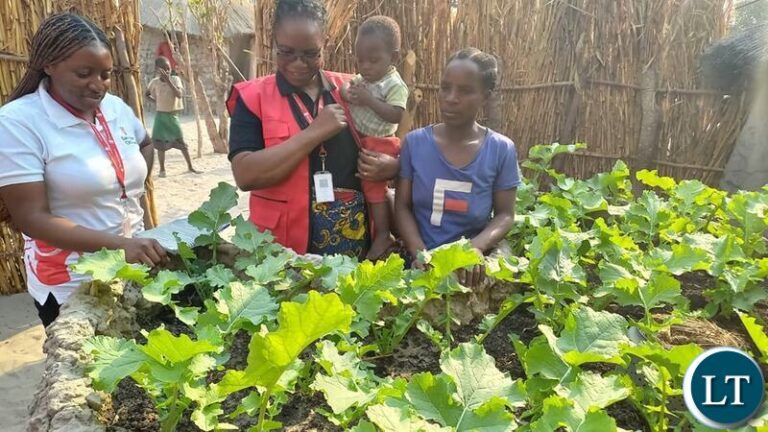 Scaling Up Nutrition Through Keyhole Gardens Empowers Shangombo District