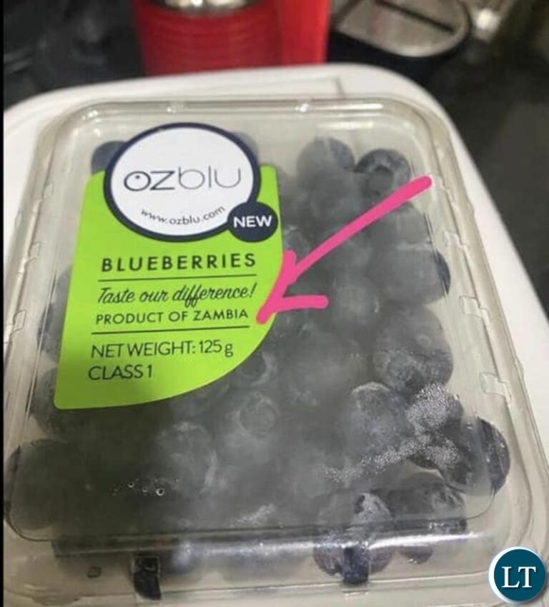 Blueberry Exports to China Opens Lucrative Market for Farmers