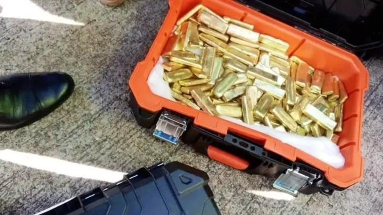 ZRA and DEC Recover Over K9.4 Million in Taxes from “Gold Gate” Suspect