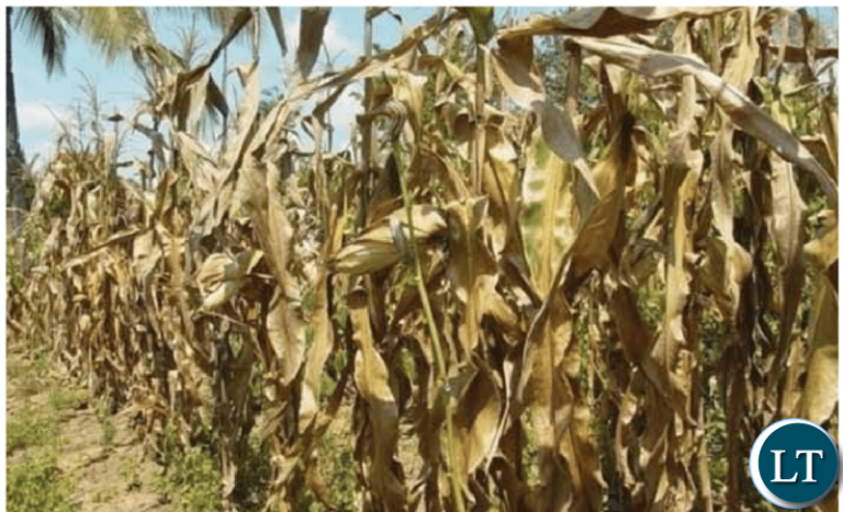 Government Expresses Concern Over Prolonged Dry Spell in Southern Zambia