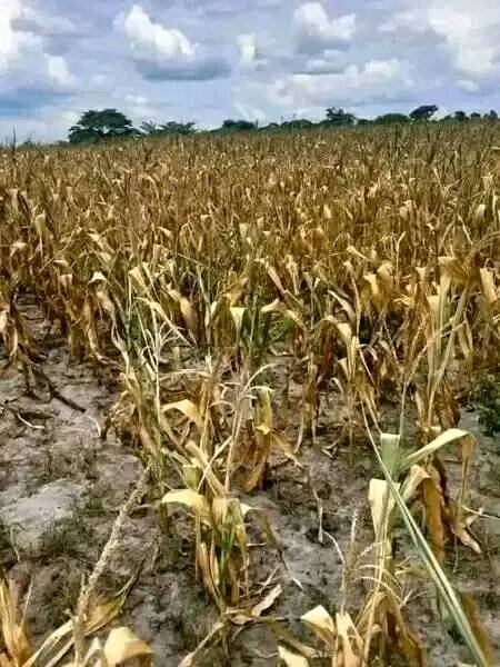 Barrick Lumwana Mine Donates US$50 000 Towards Drought