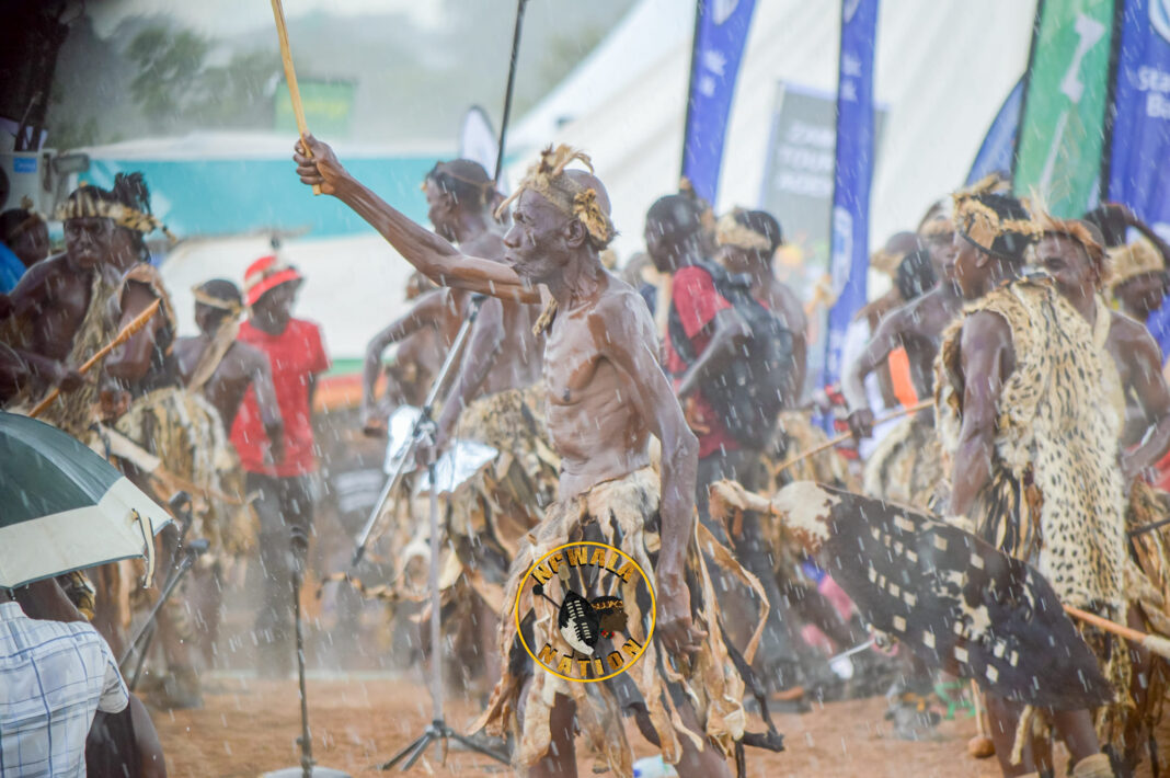 Miracle? Rains pour after Ncwala sacred sacrifice