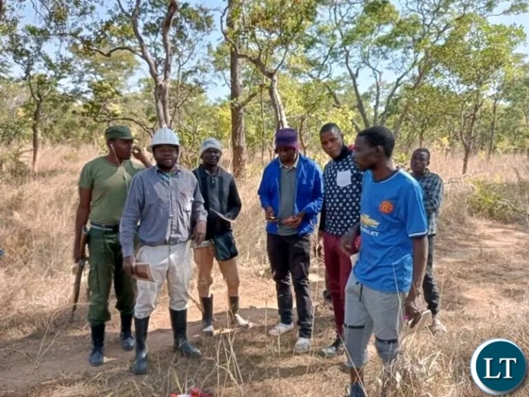 International Forest Day 2024: Embracing Innovation for Sustainable Forestry