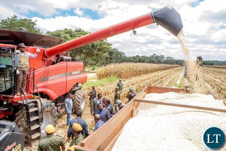 Over 6,000 Metric Tonnes of Early Maize Delivered to FRA