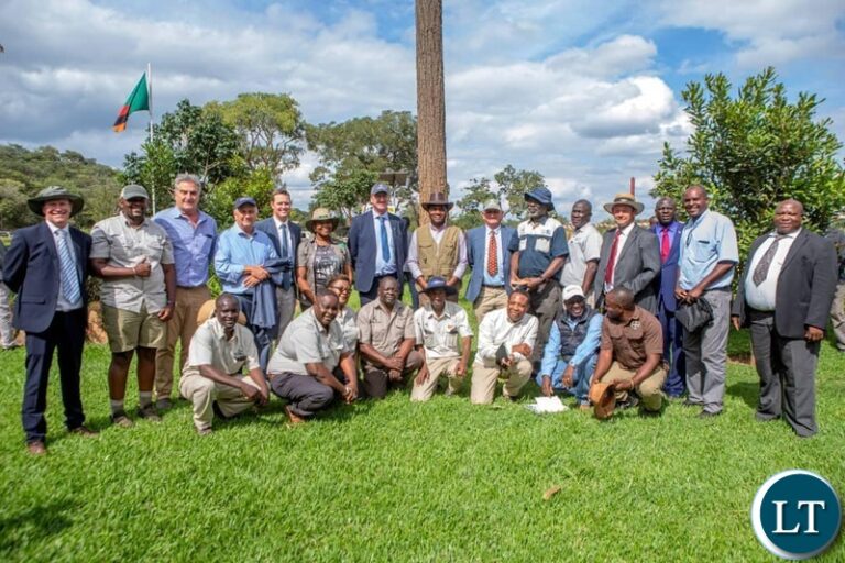 Mkushi Farmers Association Leads 2024 Early Maize Harvest