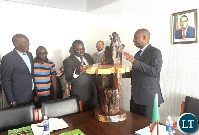 Green Economy Minister Mposha vows to end forestry illegalities