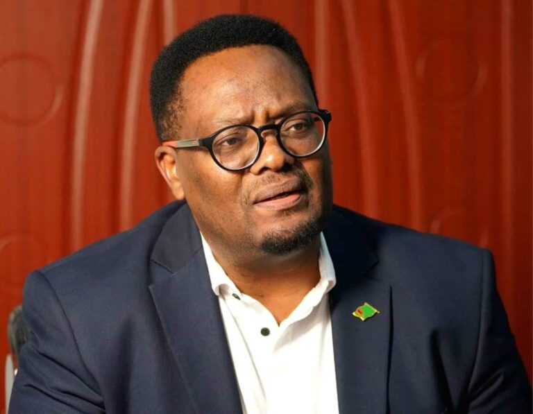 PF Leader Emmanuel Mwamba Endorses Zimbabwean Minister’s Vicious Assault on President Hichilema
