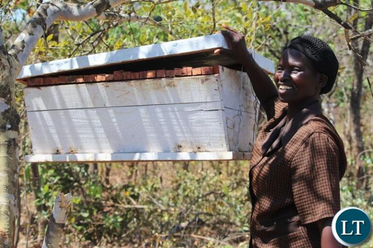 Indigenous Women In Climate Change Solutions