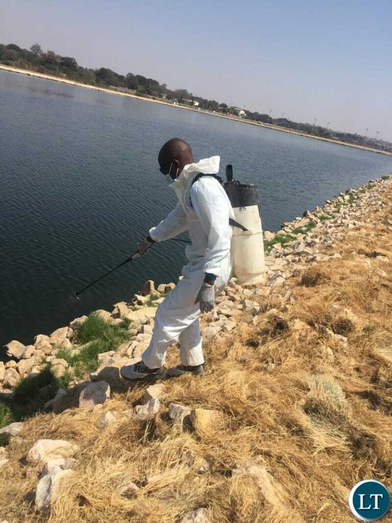 Lusaka City Council Declares Ongoing Larviciding Exercise Safe