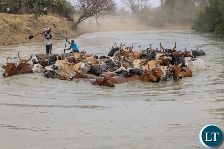President Hichilema Officiates at Lwanza Traditional Ceremony, Calls for Unity and Resilience Amidst Drought Challenges