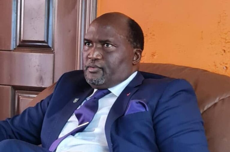 Zambian Parliamentary Procedures Under Scrutiny Amidst Calls for Constitutional Integrity
