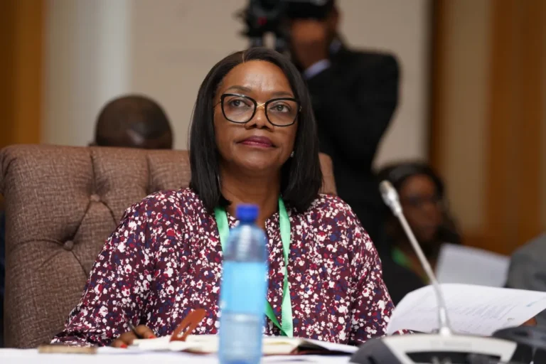 Zambia Develops Guidelines for Sustainable Wetland Utilization