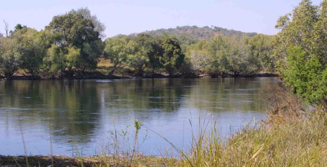 Clearance Of Mwambashi Dam Pollution Progresses