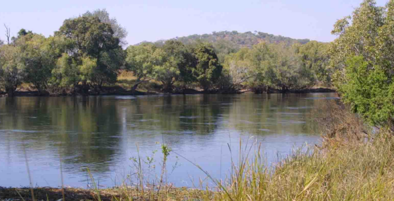 Clearance Of Mwambashi Dam Pollution Progresses