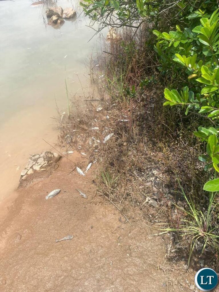 Government to Launch Independent Investigation into Mining Pollution of Kafue And Mwambashi Rivers
