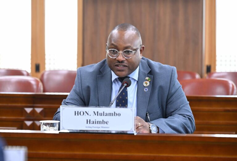 Government Distances Itself from Chabinga’s Anti-Diplomat Remarks
