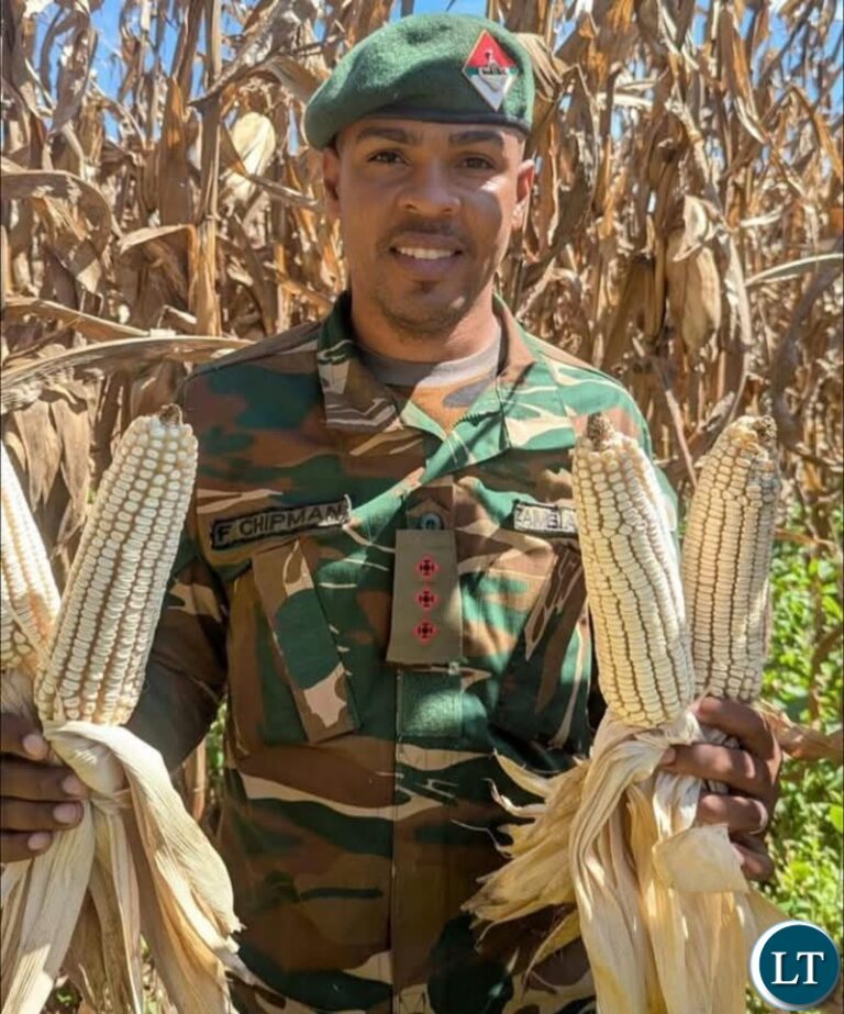Bravo imwe ma soldier; now it’s time to tackle industrialization!