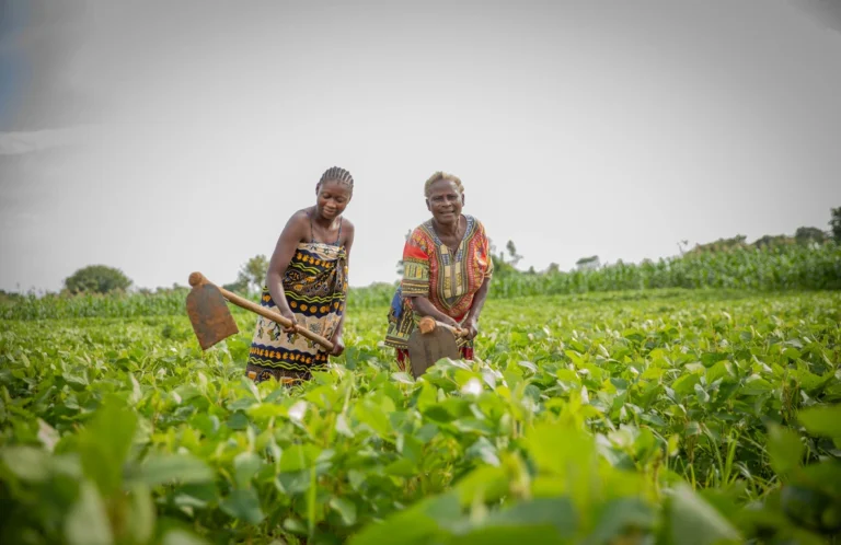 Zambia’s refugee policy encourages farmers to be self-reliant