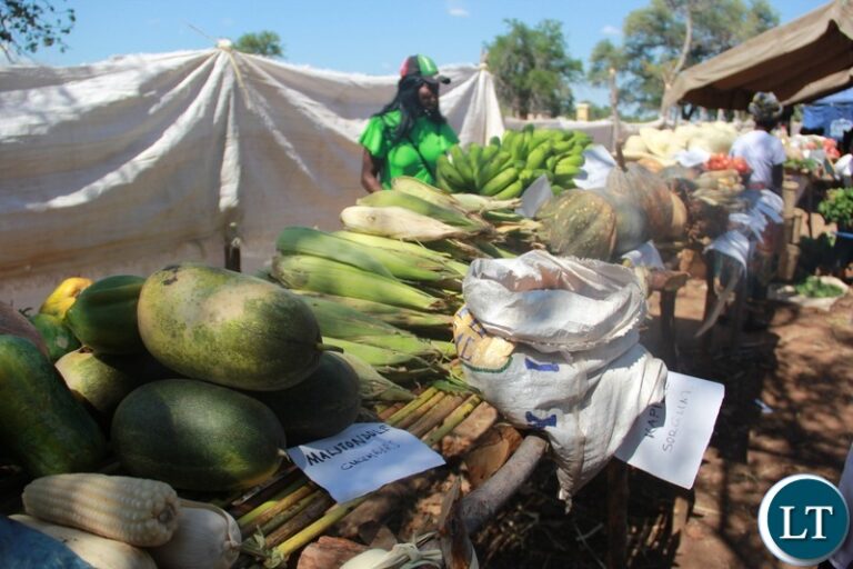 Kanchibiya Residents Commend Government For Farming Inputs