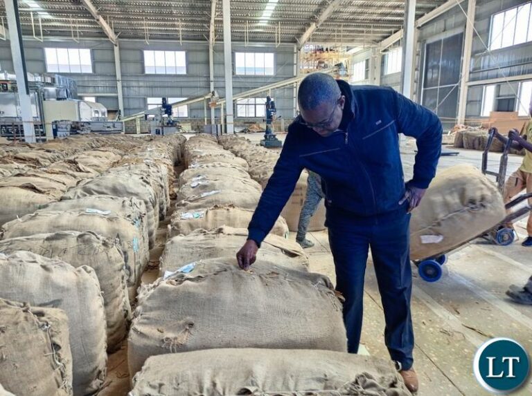 Kabwe Set for Economic Boost as Great Leaf Tobacco Plant Nears Completion