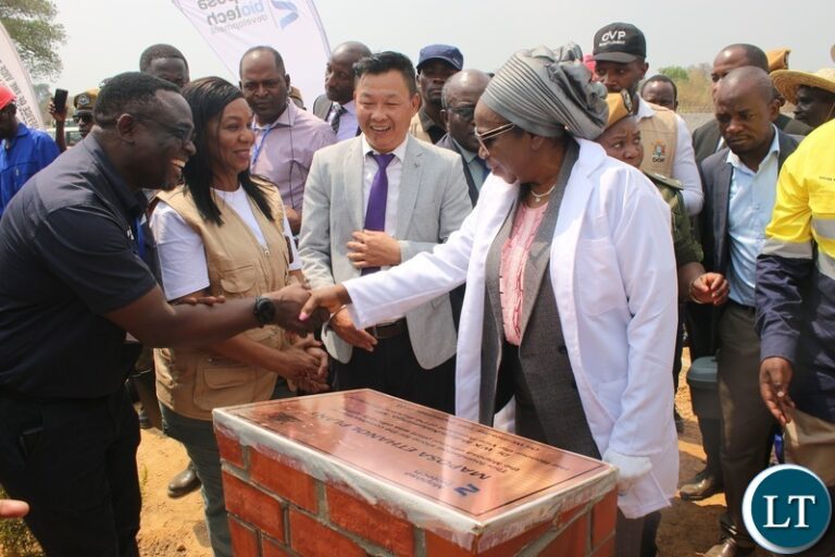 Farmers urged to venture in cassava production
