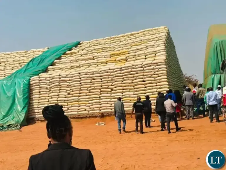 Increase in purchase of maize by FRA puts pressure on storage facility