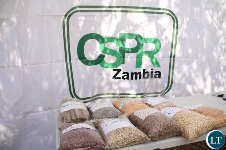 For a long time now, Zambia has not had  a budget where 23 percent of it is centered on economic development-CSPR
