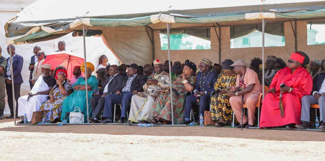 Chiefs Oppose Expansion of Presidential Appointments in Parliament