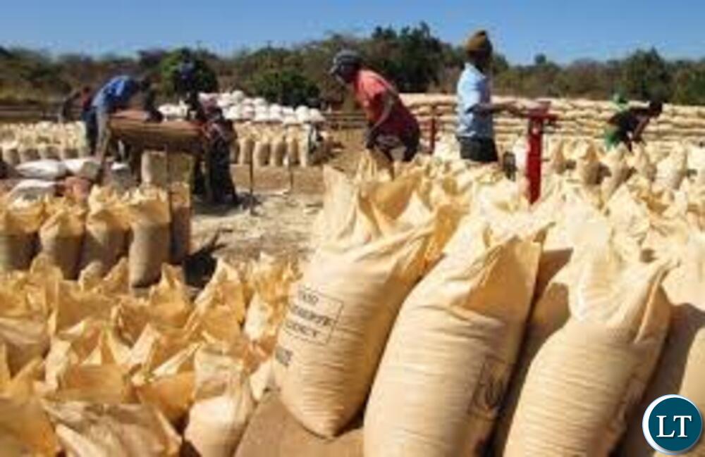 Farmers in Zambezi begin receiving FRA maize Payments