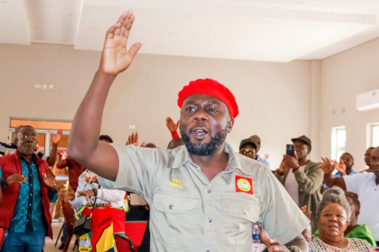 UPND Youths Behind PF Office Attack, Liswaniso Reveals