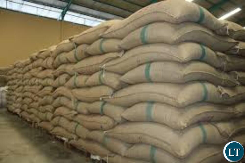 Sinda FSP beneficiaries receive inputs