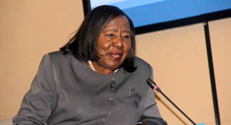 ECZ grants 15-day extension to voter registration drive