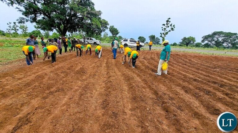 Solwezi farmers receives FSP Inputs for 2025/26 season