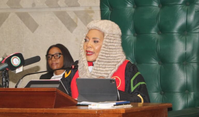 Bill 7 Vote Exposed Procedural Cracks in Parliament