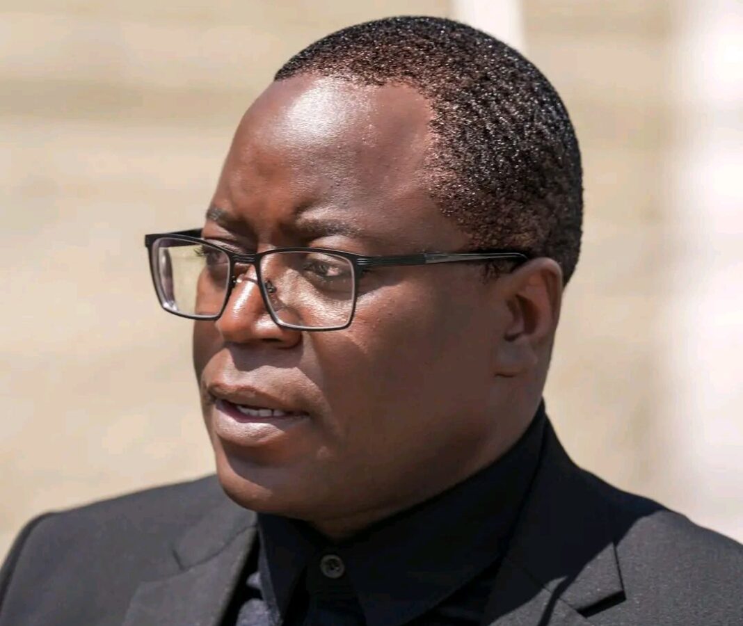 Makebi Zulu Says Passage of Bill 7 Defies Constitutional Court