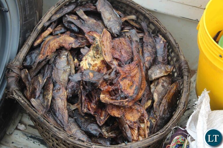 Government intensifies fish ban in Isoka