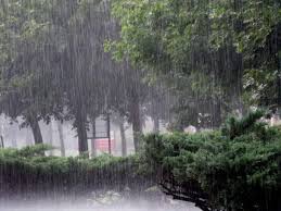 MET predicts widespread rainfall