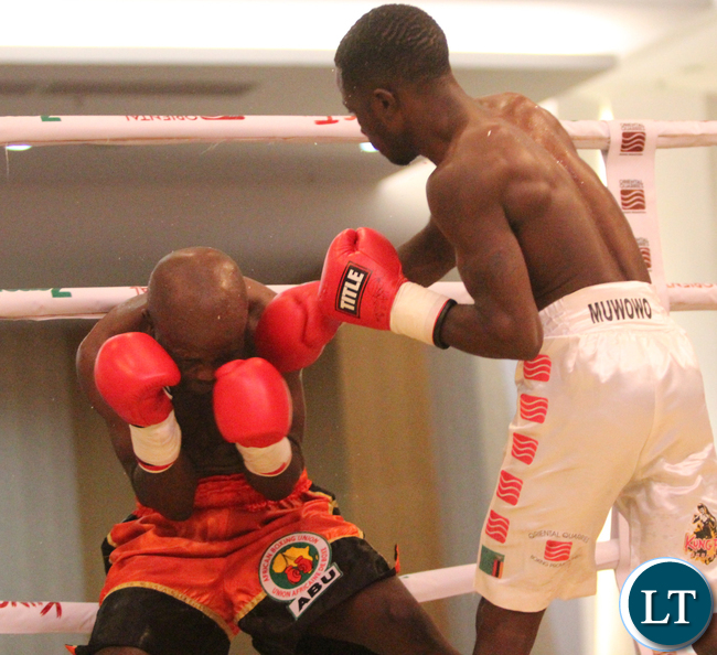 Mwale ready for WBC bout against TZ opponent