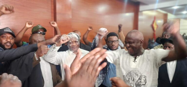 Mundubile elected Tonse Alliance president as PF remains under court block