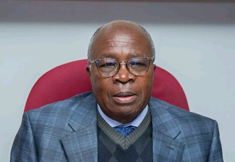 Zambia’s economy has shown signs of renewed stability – Musokotwane