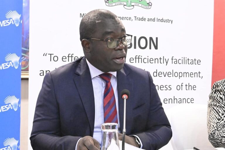 1.4 billion USDs potential export value for Zambia-Commerce Minister